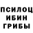 Псилоцибиновые грибы мухоморы Max Root